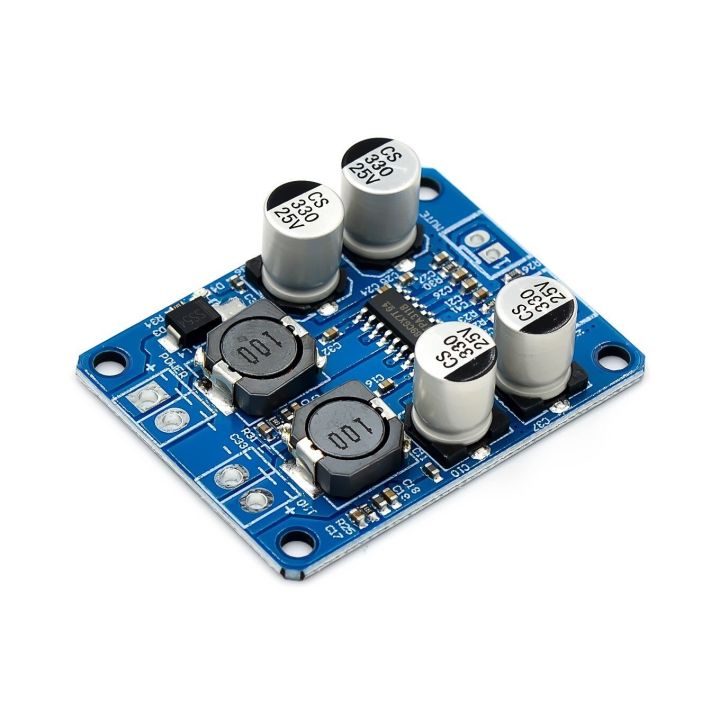 TPA3118 PBTL Mono Digital Amplifier Board – 1x60W, 12V/24V – For Car/Home Audio (New)