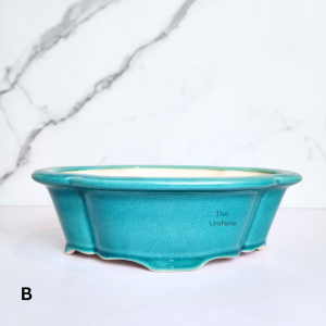 The Leaferie Bonsai (Series 65) plant pots Ceramic flowerpot flowerpots flower pot planter planters