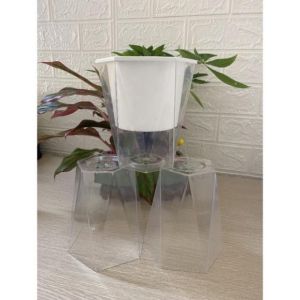Chậu đa giác trồng cây Thủy sinh cây cảnh bonsai để bàn văn phòng siêu xinh Phukienprocare