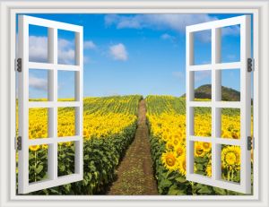 TRANH DÁN TƯỜNG 3D CỬA SỔ KT 1M*1M2