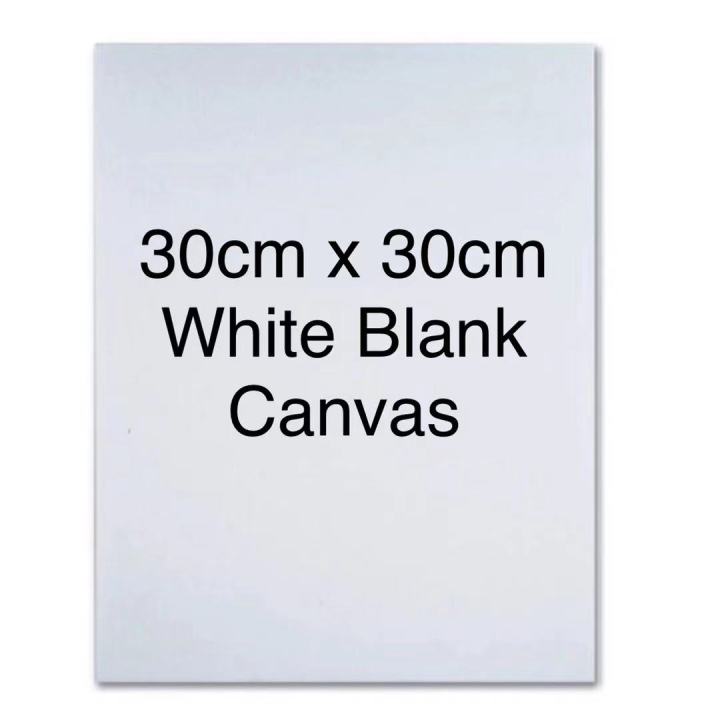 30cm x 30cm White Blank Canvas Art Boards Stretched Artist Canvas