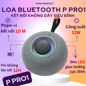 Loa Bluetooth Cao Cấp Kết Nối Không Dây P Pro 1 - Âm Thanh Hay  Bass Mạnh Mẽ  Thiết Kế Nhỏ Gọn Âm Thanh Sống Động và Bảo Vệ Kháng Nước IP67 - BẢO HÀNH 1 ĐỔI 1 từ Mường Thanh Royal