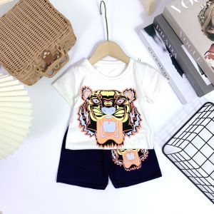 [MẪU HÈ] BỘ CỘC TAY IN HÌNH HỔ CHẤT COTTON MỀM MÁT PHONG CÁCH HÀN QUỐC SIÊU DỄ THƯƠNG CHO BÉ 8-24KG. VIDEO THẬT. BIBO BABY SHOP