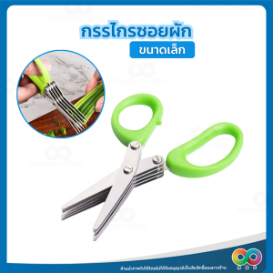 Rainbeau กรรไกรซอยผัก กรรไกรซอย กรรไกรหั่นผัก ซอยต้นหอม ซอยพริก กรรไกร 5 แฉก หั่น ซอย ตัดได้โดยไม่ต้องเลอะมือ  5 Blade Vegetable Stainless Steel Herbs Scissor