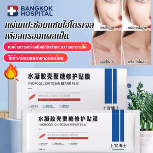 แผ่นซ่อมแซมไฮโดรเจลไคโตซาน สารสกัดจากพืชแพทช์ซ่อมแซมรอยแผลเป็นอ่อนโยน
