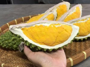 กระเป๋าพูทุเรียน สายสะพาย กระเป๋าพูทุเรียน ฝีมือคนไทย กระเป๋าพู สินค้าพร้อมส่ง สินค้า ประเภท: กระเป๋าพูทุเรียน ราคาเรียน่าย