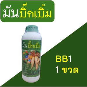 มันบิ๊กเบิ้ม 1 ลิตร ช่วยแตกหัว ระเบิดหัว ขยายหัวใหญ่ เพิ่มแป้ง เนื้อแน่น เพิ่มน้ำหนัก เพิ่มผลผลิต