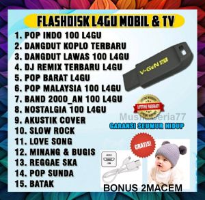 Flashdisk Lagu Mobil TV & Handphone 32Gb Lagu Mp3 Bonus KABEL DATA dan kupluk