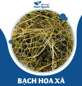 Bán chí liên 100g tốt cho gan kết hợp với bạch hoa xà hỗ trợ tiêu u ngừa ung thư rất tốt