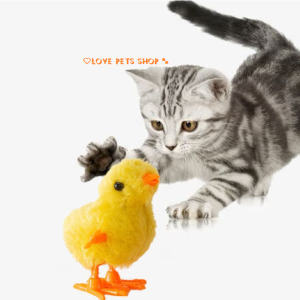 Đồ chơi gà con lên dây cót vui nhộn cho chó mèo (mẫu mới) - Love Pets Shop