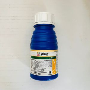 Insektisida kontak mengendalikan hama kutu thrips ALIKA 247ZC dari syngenta