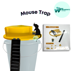Plastic Mouse Trap Set Up Installation Mice Catcher Pest Control
