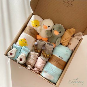 Seednery Newborn Twins Baby Gift Set ｜Newborn Twins Baby Gift Hampers｜Gift Box Newborn Twins baby｜Gift Box surprise
