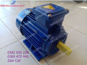 Động cơ motor điện 3 pha 15kw chính hãng dây đồng KOREA