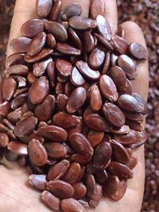 Hạt dưa loại đặc biệt hạt dưa loại 1 hạt dưa thượng hạng thương hiệu Thành Công date mới MÃ DƯA 01 ĐB