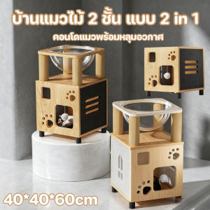 （Dream Nest）บ้านแมวไม้ 2 ชั้น คอนโดแมวพร้อมหลุมอวกาศ แบบ 2 in 1 หรูหรา แข็งแรงทนทาน วัสดุไม้ธรรมชาติ สำหรับน้องแมวทุกสายพันธุ์
