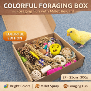 Bird Toys for Parrots – Foraging Toy Gift Box Natural Safe Chew Shredding Toys Colorful Bird Enrichment Toys