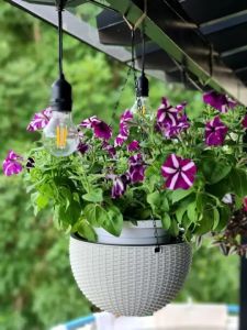 SG Seller Hanging Self Watering Flower Pot Vines Braided Pattern Planter with 3 Metal Chains Bottom Base Water Separated Board Balcony Garden Plant Hanger Basket Home Decoration - Stock in SG