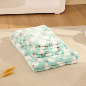 CANICECA Double-sided Pet Mats Short Plush Soft Pet Pad Blanket Cute Warm Pet Sleeping Bed For Cats Small Dogs