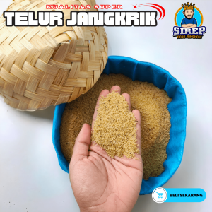 Ready telur jangkrik kemasan 1 kg daya tetas tinggi 100% cocok untuk ternak jangkrik siap kirim hari ini