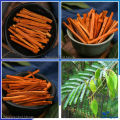 Tô Mộc 100g (Gỗ Vang). 
