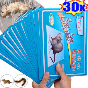 20/30ชิ้น กับดักกาวหนู กระดานกาวดักหนู / กระดานกาวดักหนู / กับดักหนูกาวดักหนู ผู้เชี่ยวชาญเรื่องหนู / กับดักหนูแมลงสาบ กับดักกาวดักหนู