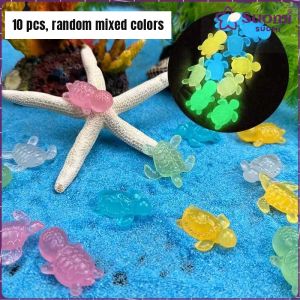 Glow In Dark Luminous Ornament Multicolor Aquarium Fish Tank Micro Landscape Garden Night Decor