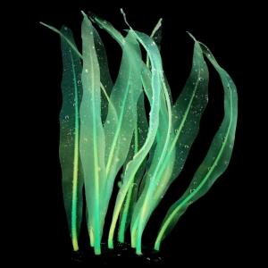 Realistic Silicone Kelp Artificial Seaweed Bright Color Water Aquarium Decorations Fish Tanks Ornament