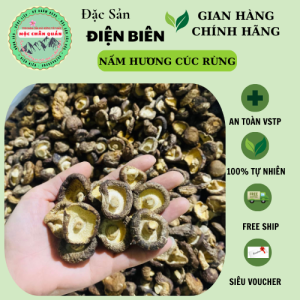 Nấm hương cúc đặc sản Tây Bắc hàng loại 1
