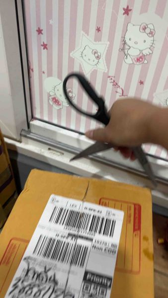 Buyer review video 2