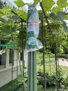 Giàn leo trồng cây chữ A dài 1.8 met cao 2.1m (TS2.1) Daim ống thép bọc nhựa phi 16