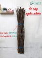 [HCM]Combo 5 Cành Cây Củi Khô Trang Trí Đường Kính 1-2Cm Dài 120-130Cm Ngẫu Nhiên W-Cui-05 - Câcscascaca. 
