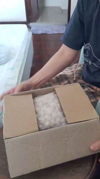Buyer review video 6