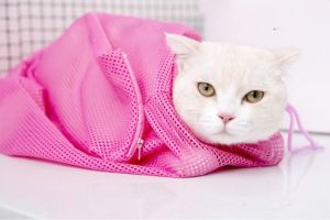 SG seller* Adjustable Multifunctional Pet shower bag Polyester Cat Washing Shower Mesh Bags Pet Nail Trimming Bags Bath accessories tool