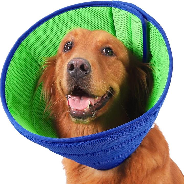 Dog anti scratch sales cone