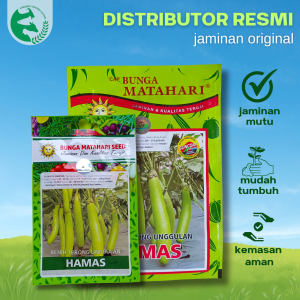 Terong Hijau Panjang 5 Gram HAMAS Asli Cap Bunga Matahari Unggul Mudah Dirawat