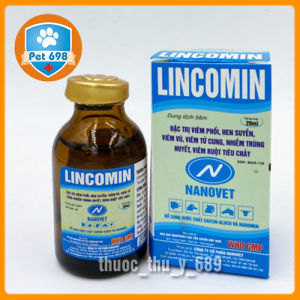 LINCOMIN Chữa bệnh đường hô hấp trên thú nhỏ cho mèo PET-698 Hộp 20ml x 10 chai