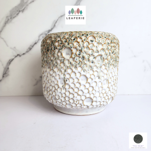 The Leaferie Gallagher plant pots Ceramic flowerpot flowerpots flower pot planter planters