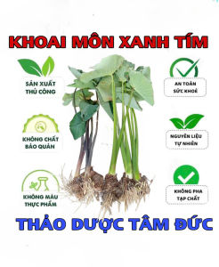 combo 3 cây khoai môn tím - xanh ngọt củ to