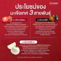 เฟอร์ม่ากลูต้า Ferma Gluta กลูต้าเฟอร์ม่า มะเขือเทศ 3 สายพันธุ์ ผิวแลดูกระจ่างใส ผิวดีขาว กลูต้า ช่วยลดการเกิดสิว. 