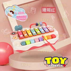 2 in 1 Baby Xylophone Percussion Toy Musical Set With Piano Music Learning Toys For Kids/Stand/Box/Girl/Years/4 Year Old