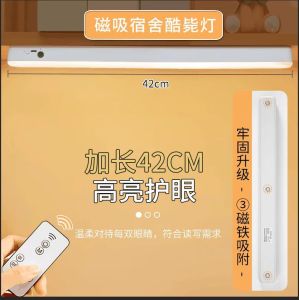 [SG] 42cm Portable LED Study Lamp Remote Control With Timer Rechargeable Study Light Reading Light