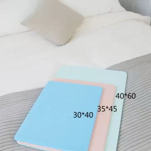 Diatom Mud Mat Bathroom Mat Bathroom Mat