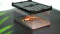 Hộp nuôi bò sát trong suốt 2 cửa kéo - Hộp nuôi ếch, nhện, bò sát, trăn, rắn, chuột, thằn lằn, tắc kè,.... 