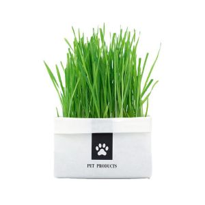 🌱หญ้าแมวแบบกล่อง ครบชุดพร้อมปลูก ต้นอ่อนข้าวสาลี ชุดปลูกหญ้าแมว หญ้าเเมว สำหรับสัตว์เลี้ยง หญ้าแมว แบบถุงปลูกง่ายแค่เติมน้ำ cat grass