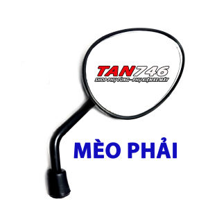 Gương Kính chiếu hậu TAI MÈO bán lẻ cập hoặc combo cho từng dòng xe.