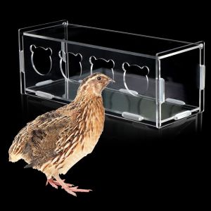 Quail Transparent Feeder Rutin Chicken Feed Chick Small Bird Seed Food Container for Small Bird Quail Chick (4 Holes)