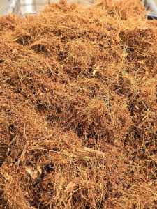 Raw and Unscreened Coco Peat 5 kgs - (Php120)