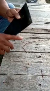 Dodos Sawit Super Tajam No1 - Percepat Proses Panen