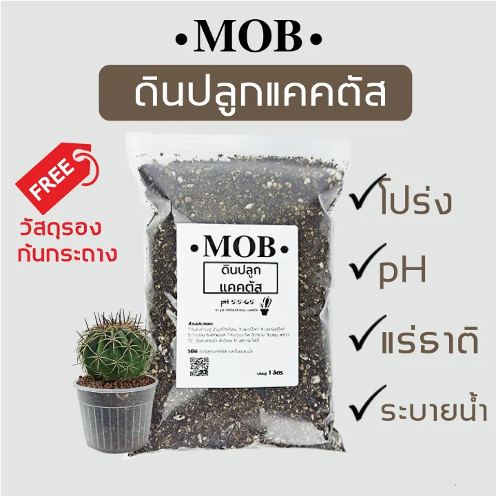 ดินแคคตัส ดินปลูกไม้อวบน้ำ สูตรโปร่ง เร่งดอก